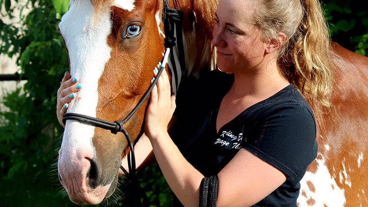 Kneading Equine First Aid and Massage Therapy | 14389 Regional Rd 25, Acton, ON L7J 2L9, Canada | Phone: (519) 546-7657