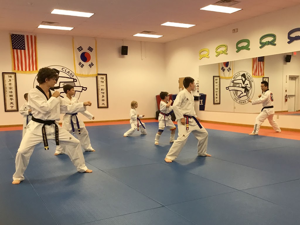 Master Chongs World Class Tae Kwon Do | 6050 South Park Ave #200, Hamburg, NY 14075, USA | Phone: (716) 646-6600