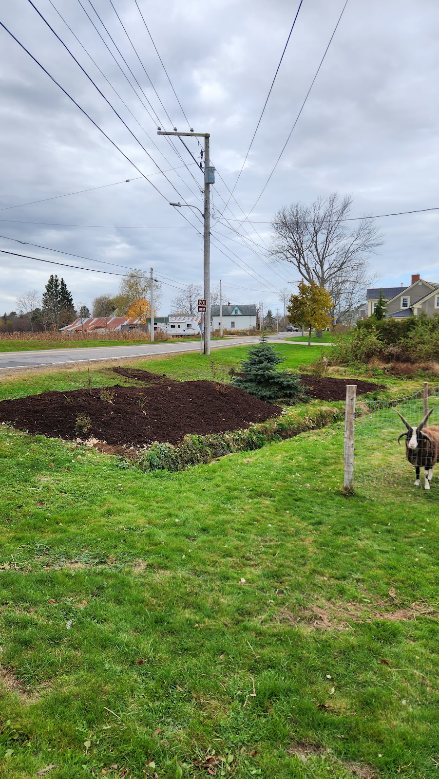 Valley Sod & Landscaping | 9535 Nova Scotia Trunk 1, Bridgetown, NS B0S 1C0, Canada | Phone: (902) 665-2645