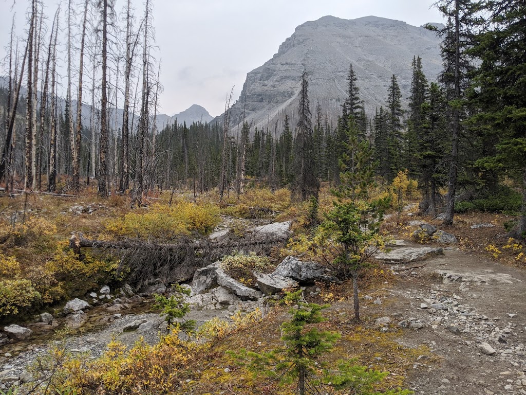 Buller Mountain Day Use | Spray Valley Provincial Park - Kananaskis Country, Alberta T0L 2C0, Canada | Phone: (403) 678-0760