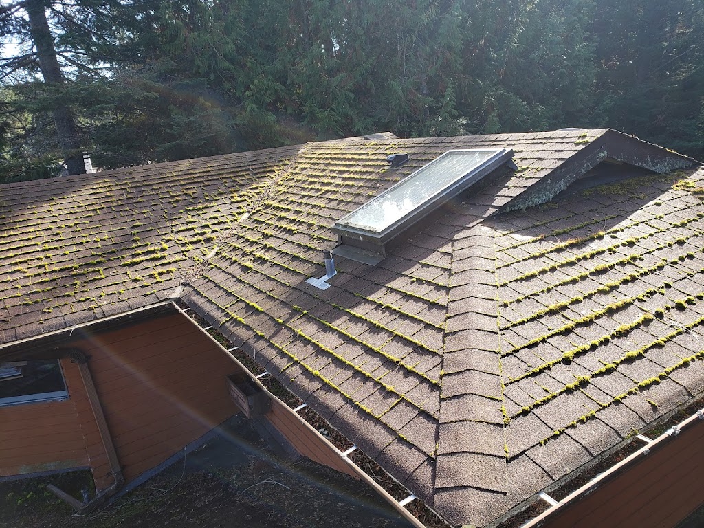 Property Wizard - Outstanding Window, Roof, and Gutter Cleaning | 595 Gorge Rd E, Victoria, BC V8T 2W5, Canada | Phone: (250) 580-2670