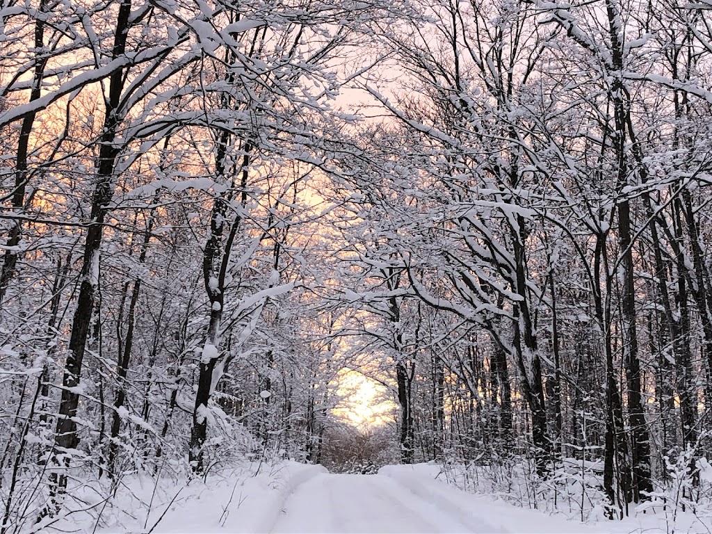 Purple Valley Hideaway Farm | 1078 Purple Valley Rd, South Bruce Peninsula, ON N0H 2T0, Canada | Phone: (519) 781-8806