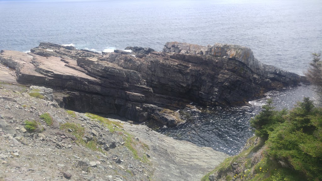 East Coast Trail | Bay Bulls, NL A1S 1R3, Canada