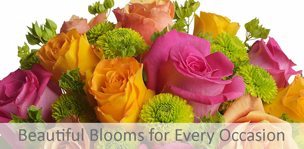 Giving Blooms | McMaster University Medical Centre, 1200 Main St W, Hamilton, ON L8N 3Z5, Canada | Phone: (905) 521-4956