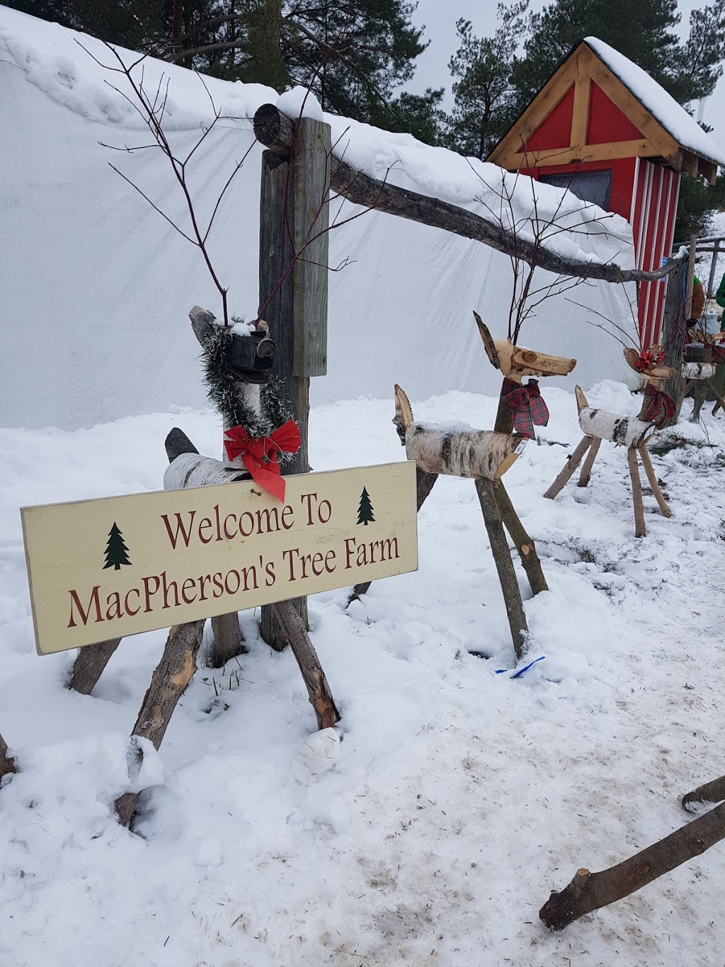 MacPherson Christmas Tree Farm | 17422 ON-48, Whitchurch-Stouffville, ON L4A 1Z1, Canada | Phone: (905) 717-0499