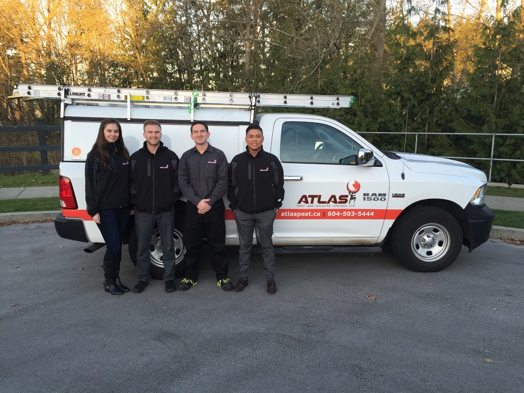 Atlas Pest & Wildlife Control Ltd. | 24196 103A Ave, Maple Ridge, BC V2W 0E4, Canada | Phone: (604) 503-5450