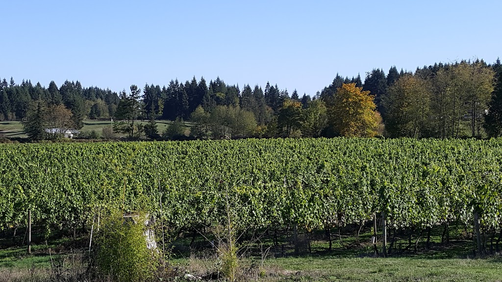 Deol Vineyard | 6645 Somenos Rd, Duncan, BC V9L 5Z3, Canada | Phone: (250) 746-3967