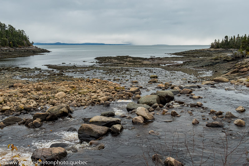 Centre Écologique de Port-au-Saumon | 3330 Bd Malcolm-Fraser, La Malbaie, QC G5A 2J5, Canada | Phone: (877) 434-2209