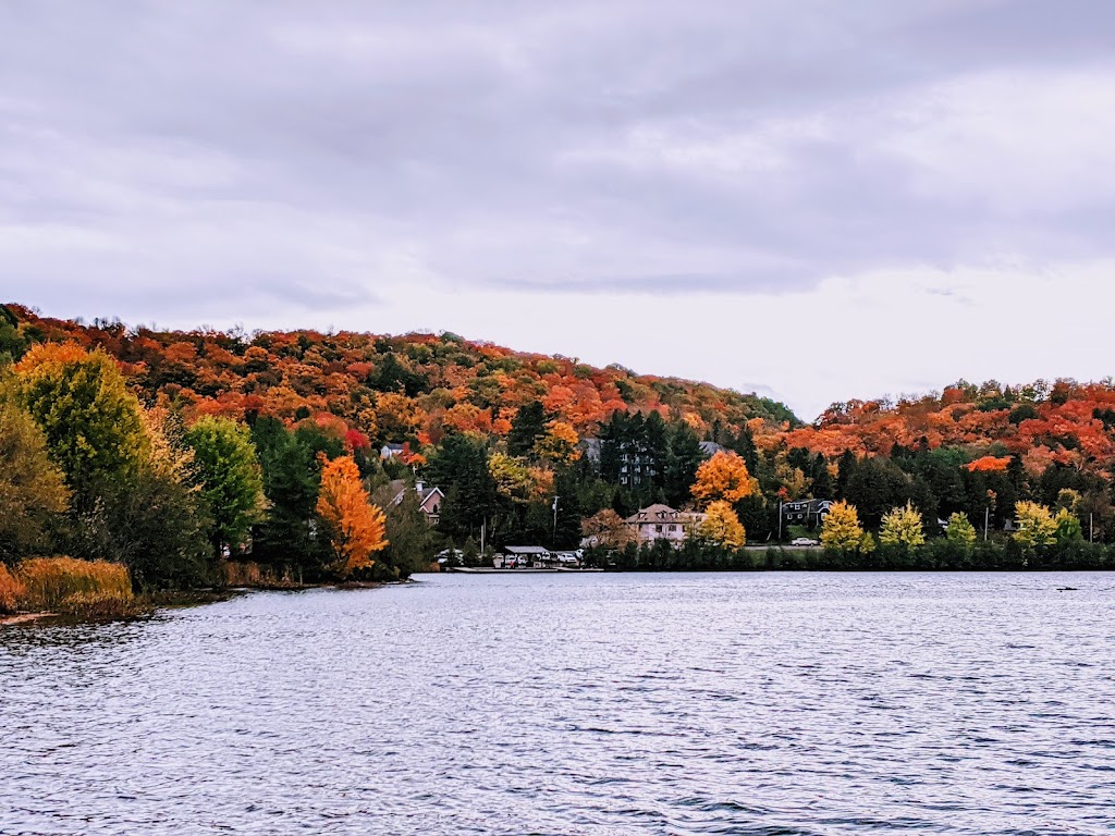 Head Lake Rotary Park | 13 York St, Haliburton, ON K0M 1S0, Canada | Phone: (705) 457-1740