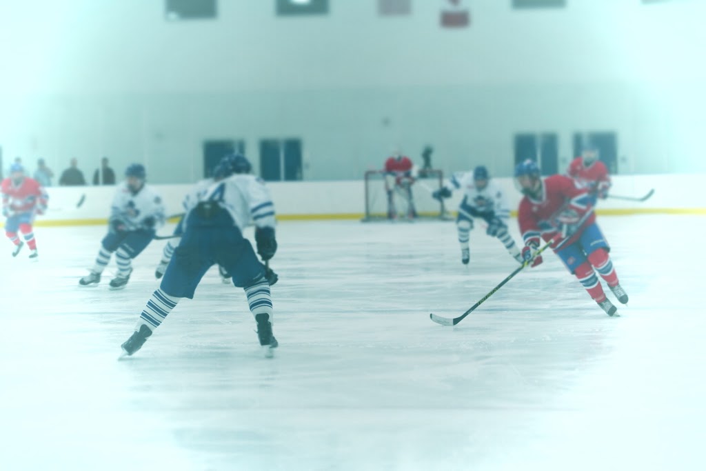 Greater Toronto Hockey League | 57 Carl Hall Rd, North York, ON M3K 2E2, Canada | Phone: (416) 636-6845