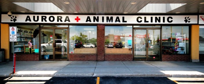 Aurora Animal Clinic | 263 Edward St, Aurora, ON L4G 3M7, Canada | Phone: (905) 727-9449