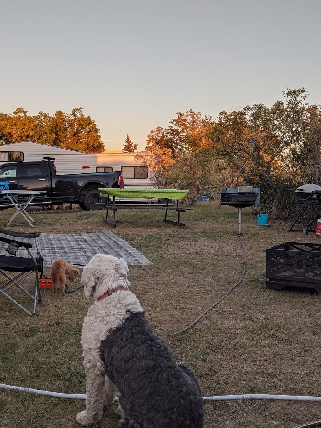 Besant Campground | SK-1, Saskatchewan S0H 0R0, Canada | Phone: (306) 756-2700