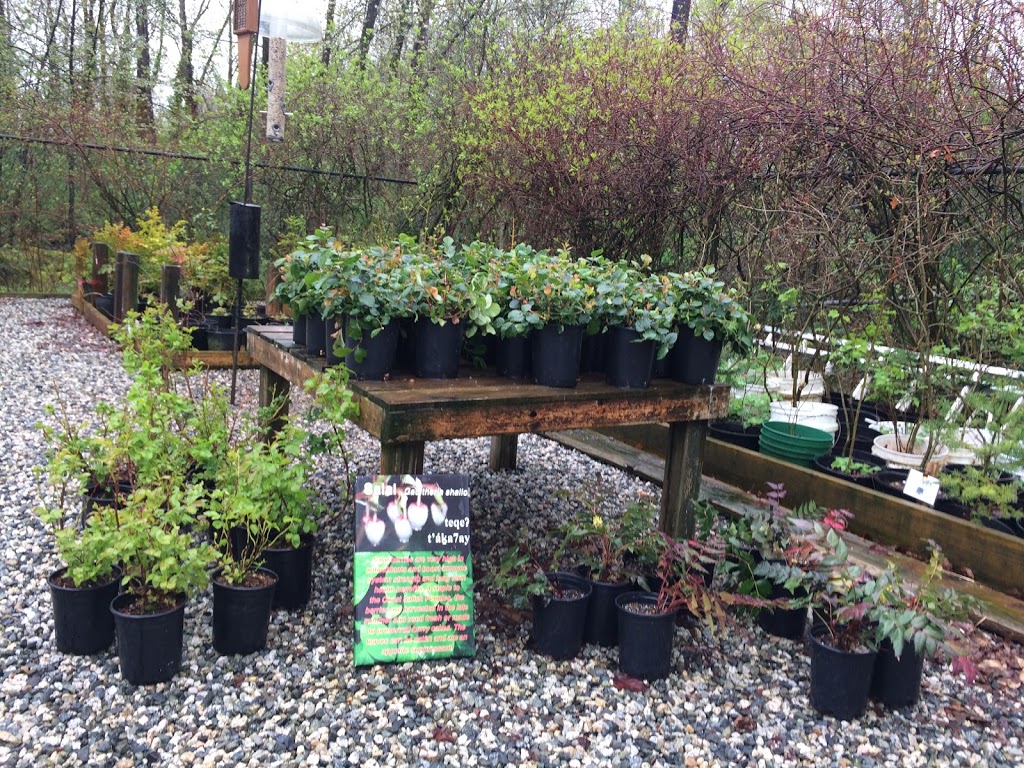 Coast Salish Plant Nursery | 2649 Dollarton Hwy, North Vancouver, BC V7H 1B1, Canada | Phone: (604) 929-2379