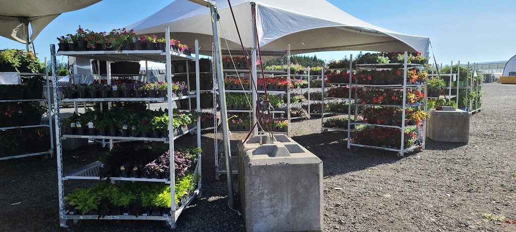 Darvonda Nurseries Ltd | 6690 216 St, Langley, BC V2Y 2N9, Canada | Phone: (604) 530-6889