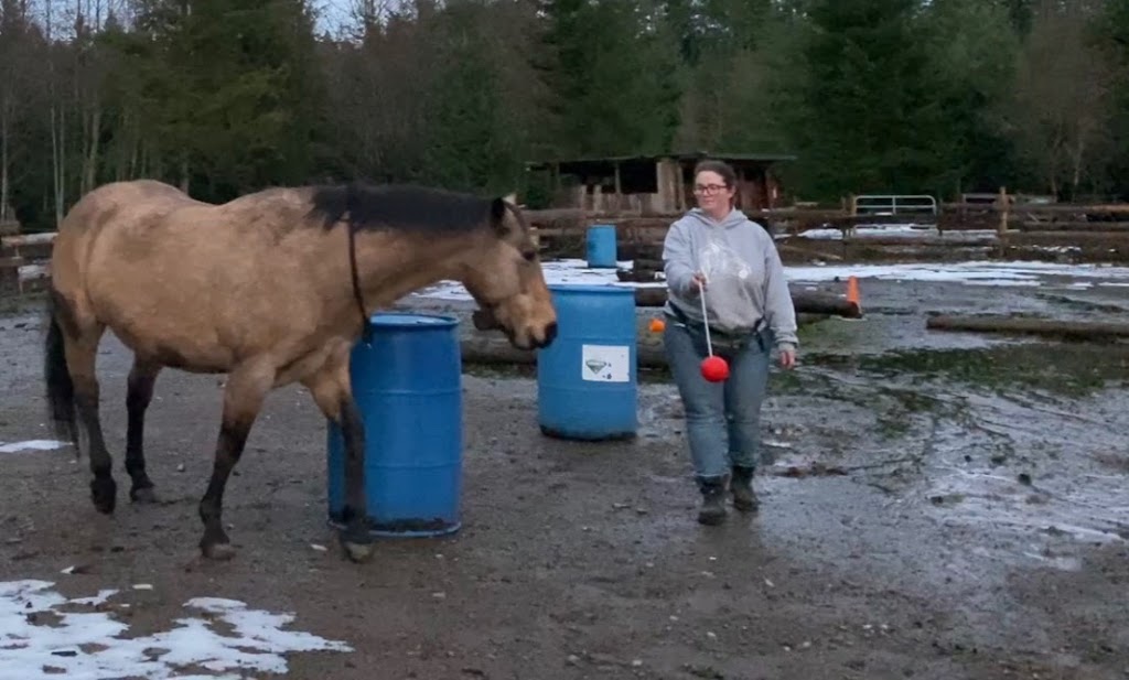 Leslie Horsemanship | 1890 Sooke Lake Rd, Shawnigan Lake, BC V0R 2W3, Canada | Phone: (250) 806-0287