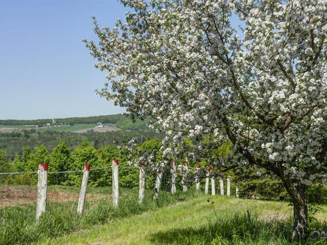 Écurie Du Rocher | 340 Chem. de Warwick, Tingwick, QC J0A 1L0, Canada | Phone: (819) 475-8147