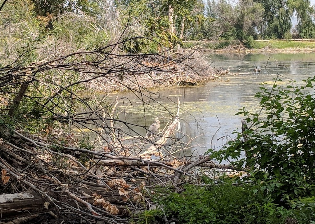 Munson Pond Park | South Pandosy - K.L.O., Kelowna, BC V1W, Canada