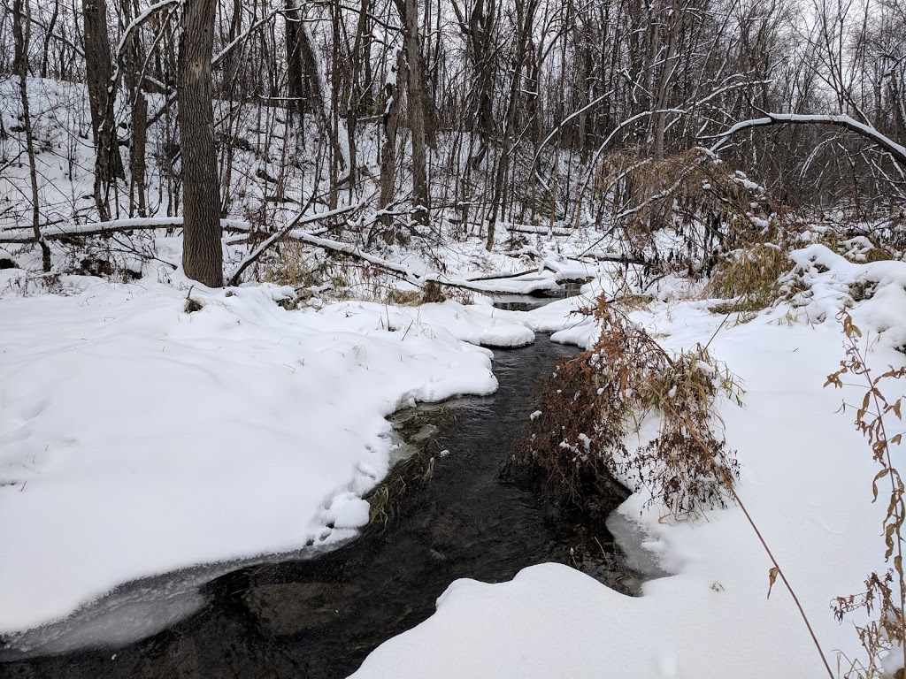 Beryl Gaffney Park | Ottawa, ON K2G, Canada