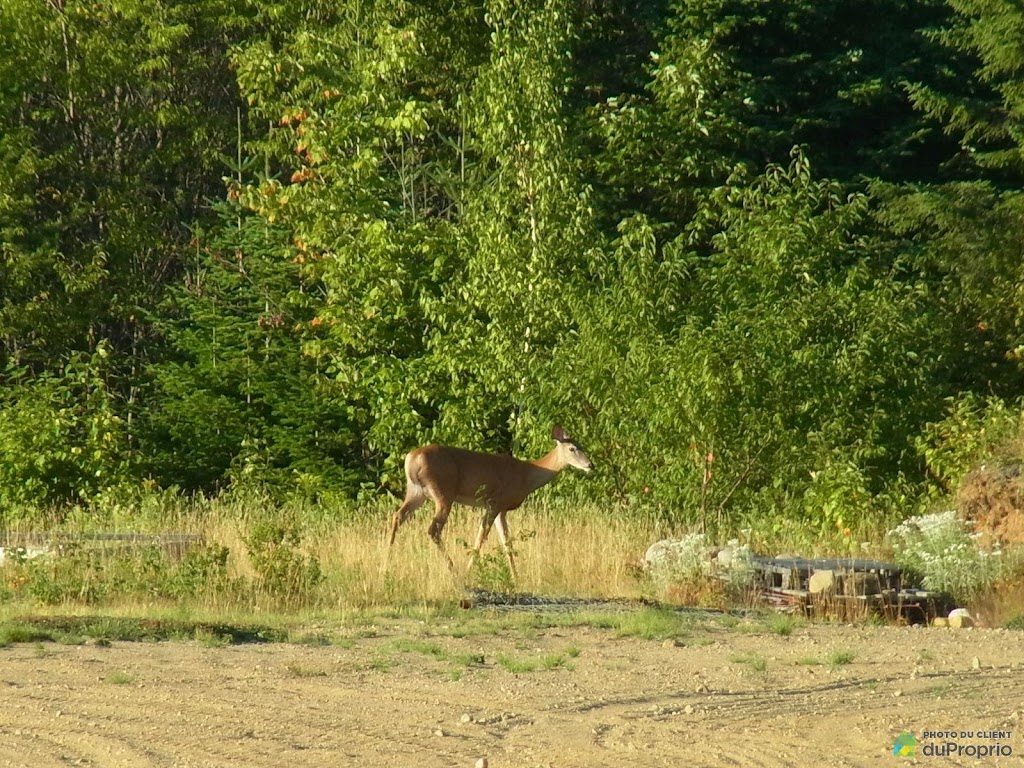 Domaine Sainte-Marie | 564 Rang Ste Marie, Saint-Ferréol-les-Neiges, QC G0A 3R0, Canada | Phone: (438) 393-5303