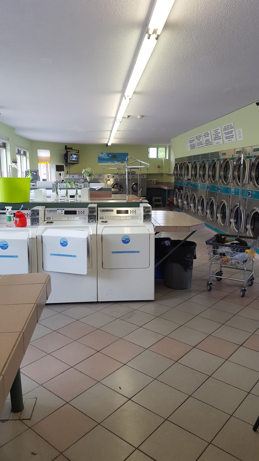 Megacity Coin Laundry | 499 Marlee Ave, North York, ON M6B 3J3, Canada | Phone: (416) 888-5733