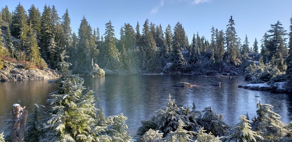 Dog Mountain Trail | 1700 Mt Seymour Rd, North Vancouver, BC V7G 1L3, Canada