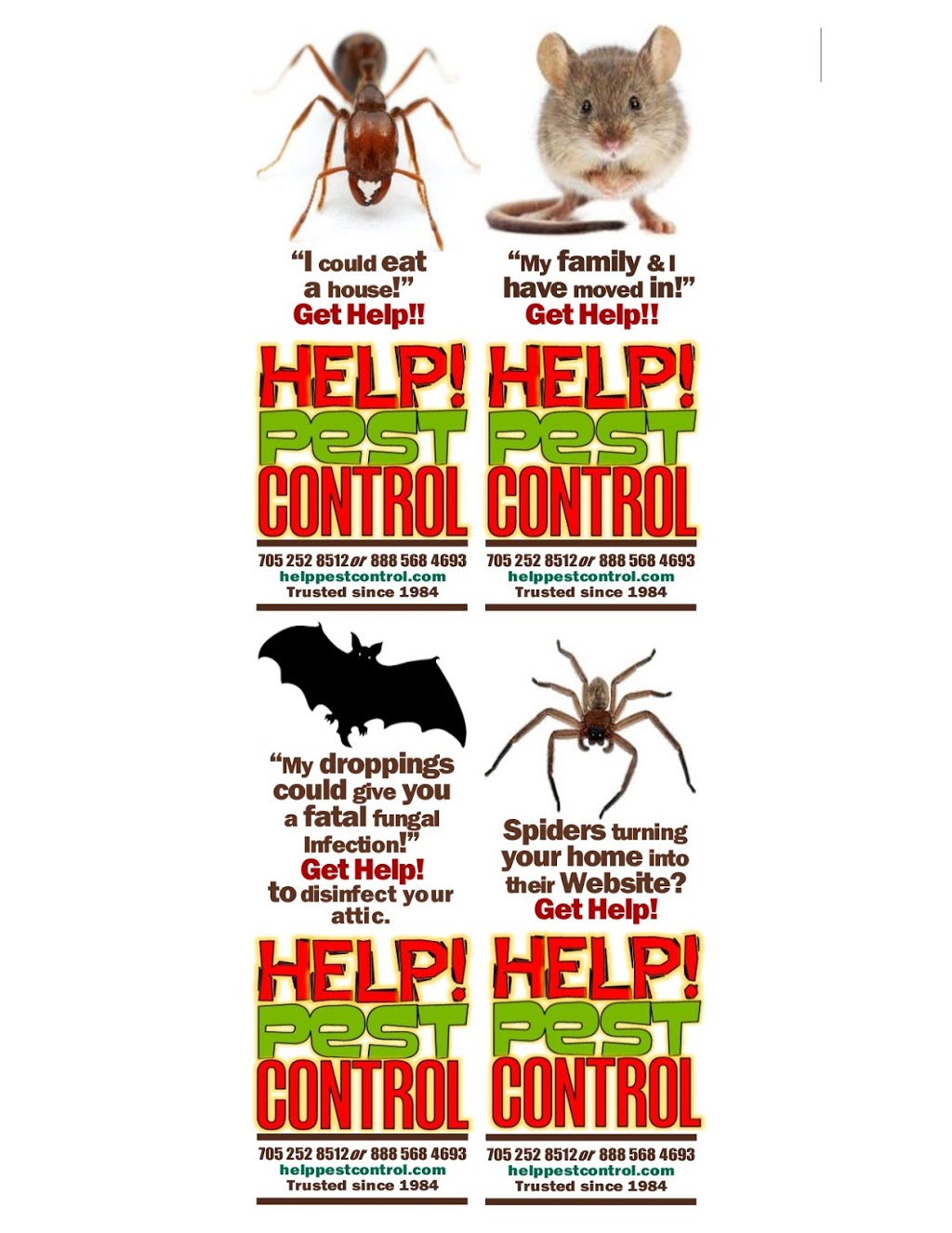 Help Pest Control | 8 Burns Cir, Barrie, ON L4N 5J8, Canada | Phone: (888) 568-4693