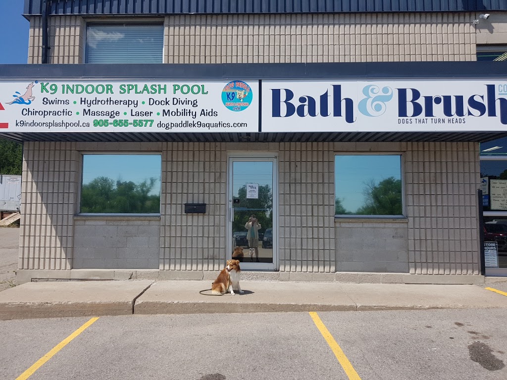 Dog Paddle K9 Aquatics | 3280 Hwy 7, Pickering, ON L1Y 1C8, Canada | Phone: (905) 655-5577