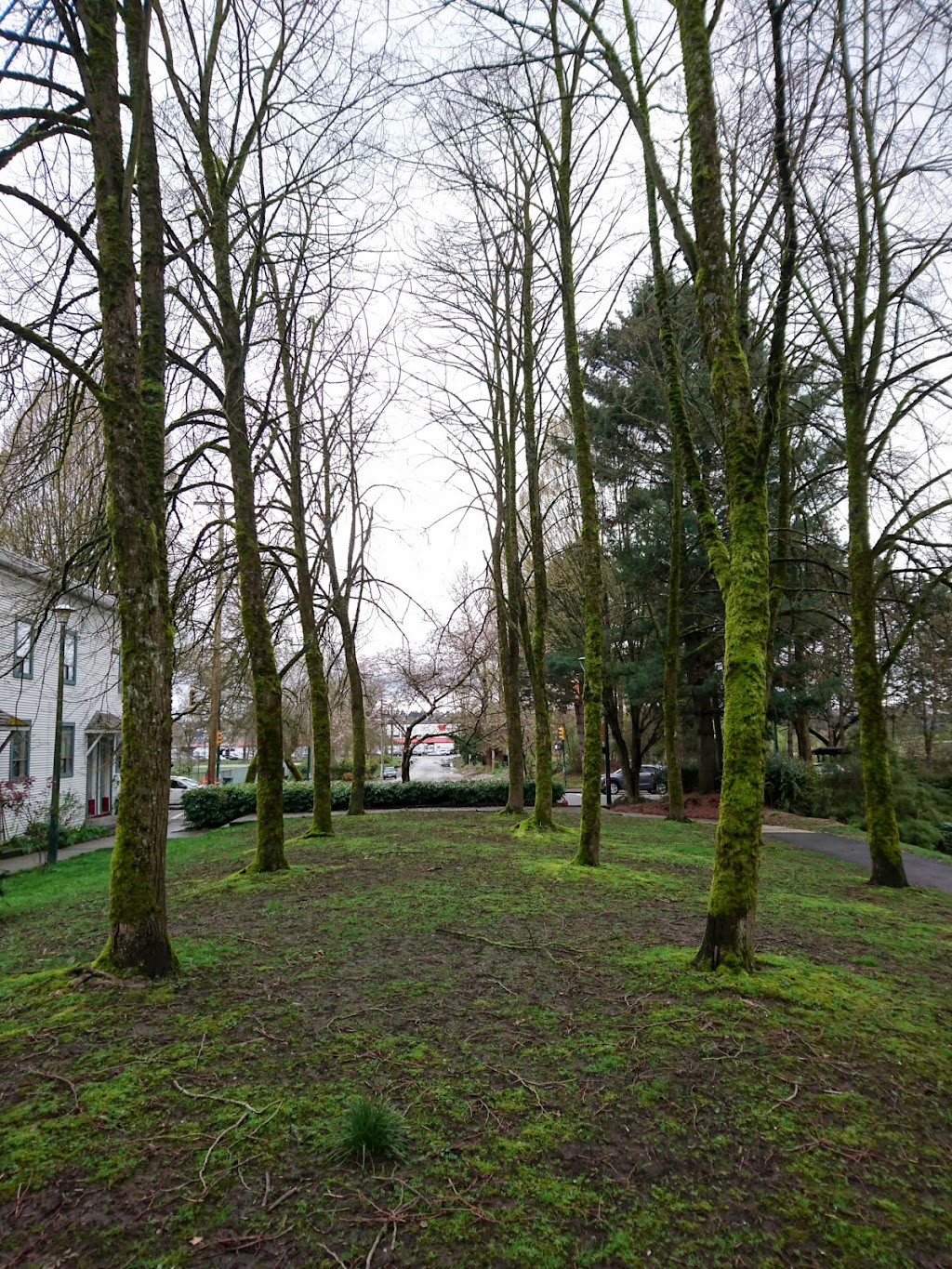 Strathcona Linear Park | 787 Prior St, Vancouver, BC V6A 2G8, Canada | Phone: (604) 257-8158