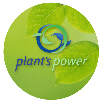 Plants Power Inc. | 2700 St Clair Ave W #3, York, ON M6N 1M2, Canada | Phone: (416) 766-1254