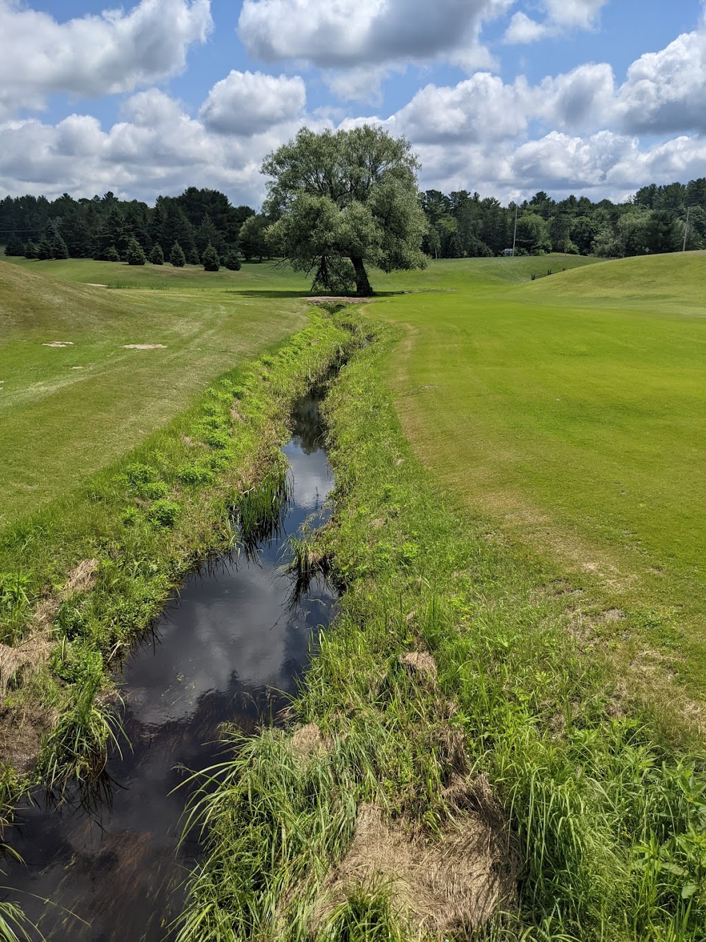 Bracebridge Golf Club and Driving Range | 1255 Muskoka District Road 117, Bracebridge, ON P1L 1W9, Canada | Phone: (705) 645-2362