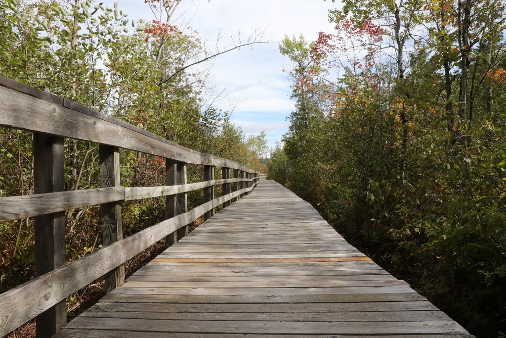 Marais de la Rivière aux Cerises | 69 Chemin Roy, Magog, QC J1X 0N4, Canada | Phone: (819) 843-8118