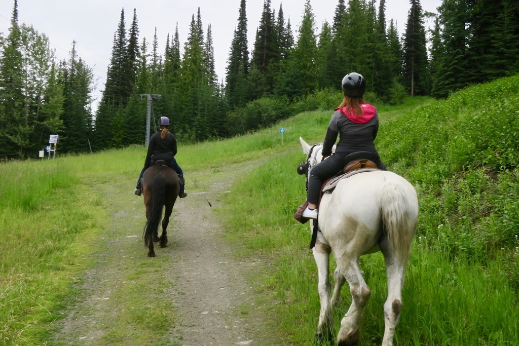 Sun Peaks Stables | Unnamed Road, Heffley Creek, BC V0E 1Z1, Canada | Phone: (250) 572-1325