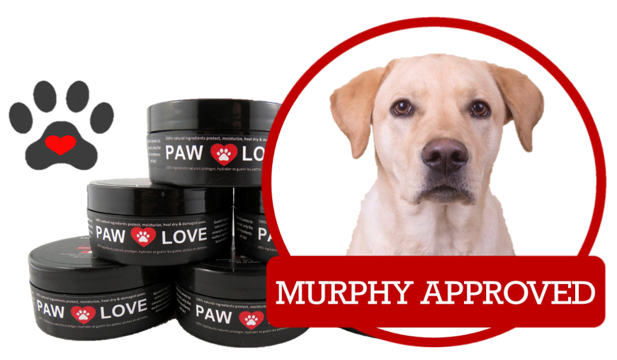 Paw Love | 1 First St suite 220, Collingwood, ON L9Y 1A1, Canada | Phone: (800) 295-8561