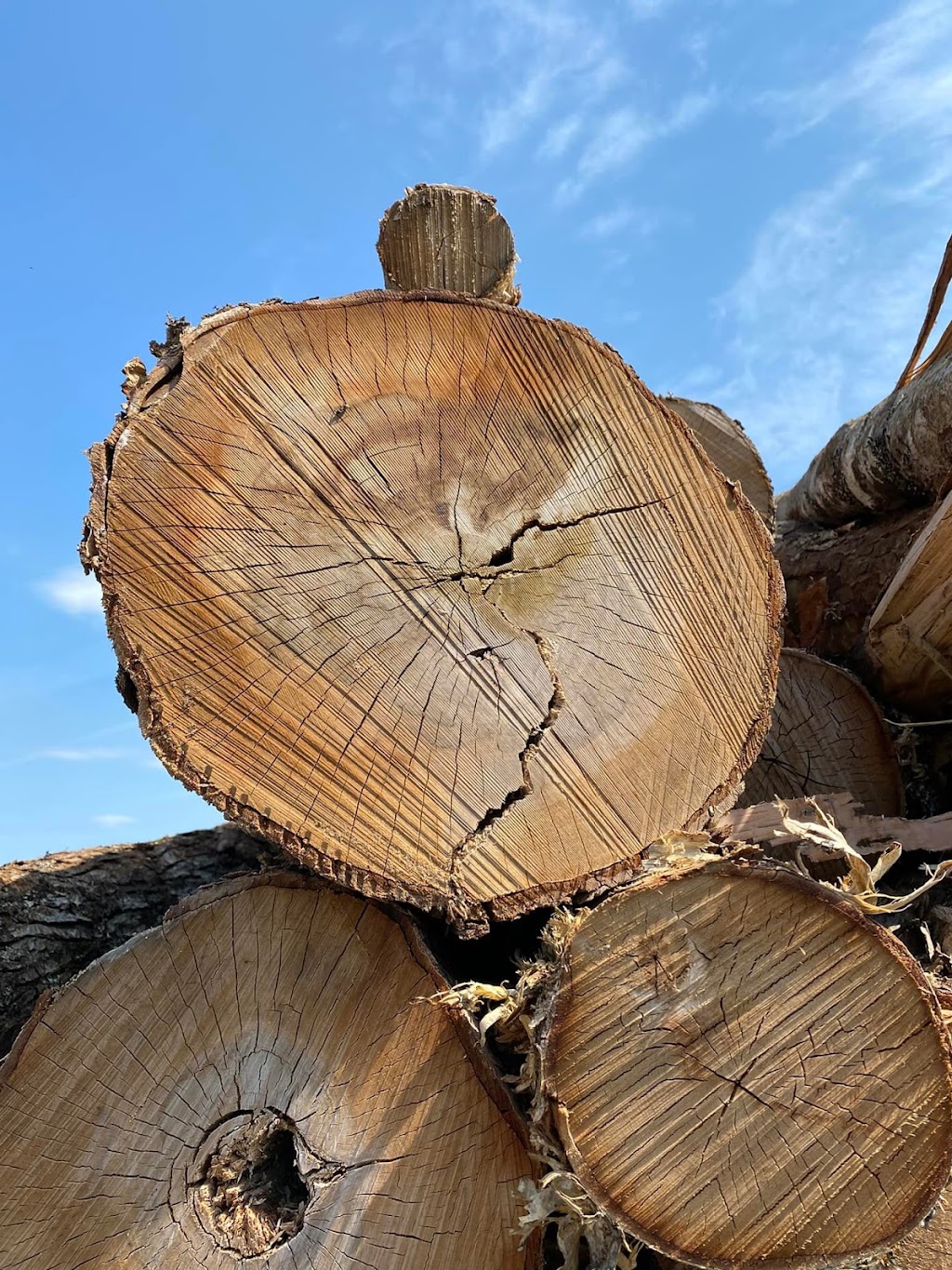 Moncton, Boyle Farm- Firewood Sales | 3528 NB-126 Unit 2, Lutes Mountain, NB E1G 2Y6, Canada | Phone: (506) 875-5450