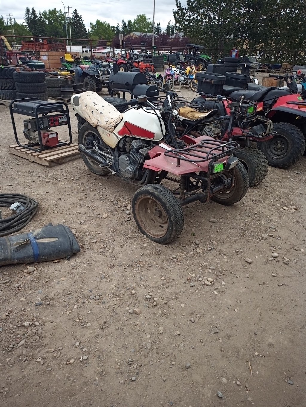 Olds Auction Mart | 4613 54 St, Olds, AB T4H 1E9, Canada | Phone: (403) 556-3655