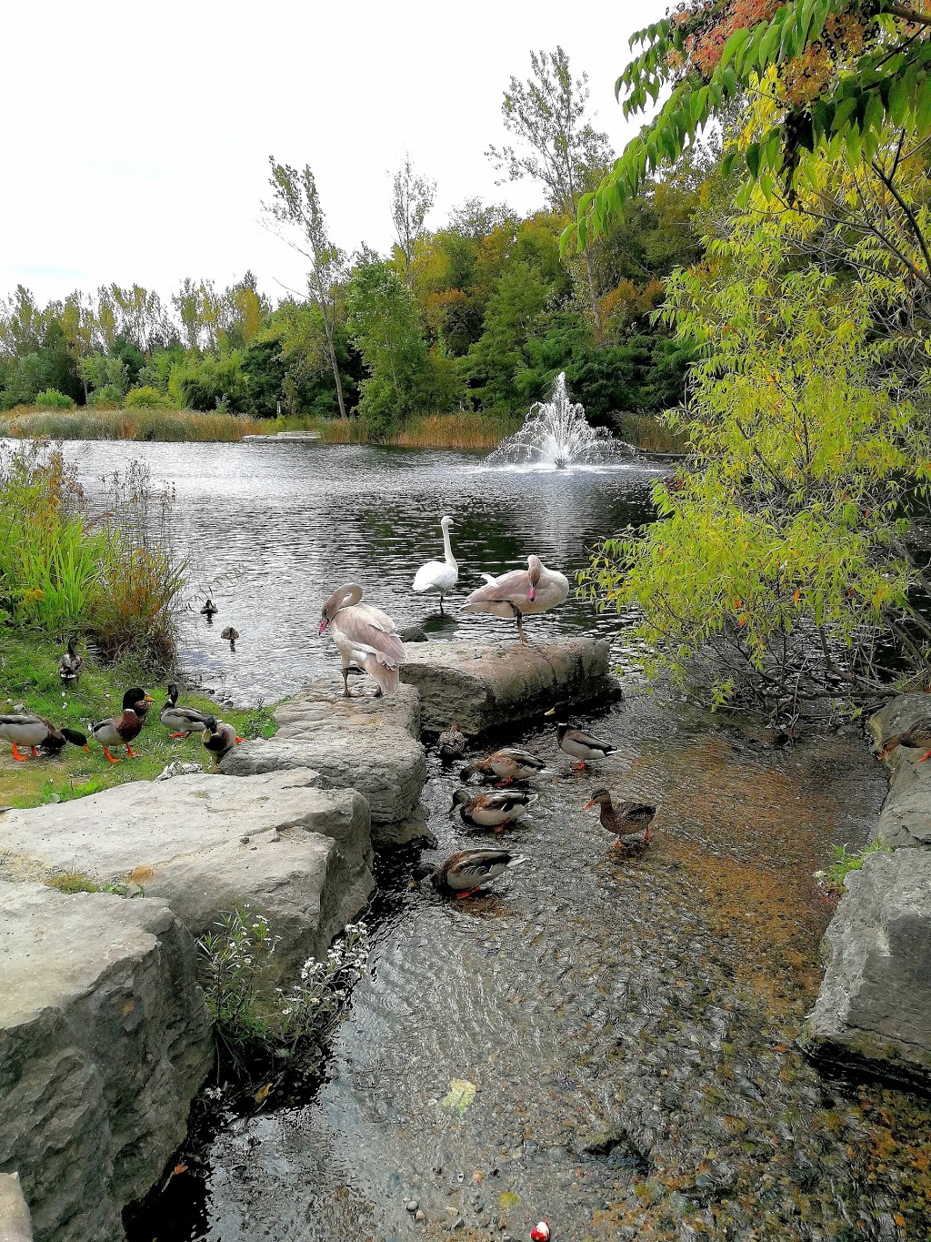 James Edward Park | Markham, ON L3S, Canada