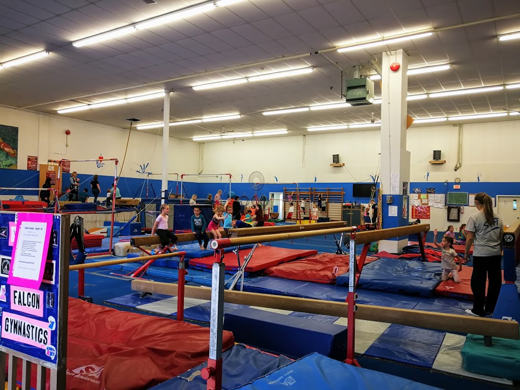 Falcon Gymnastics | 721 Vanalman Ave #208, Victoria, BC V8Z 3B6, Canada | Phone: (250) 479-6424