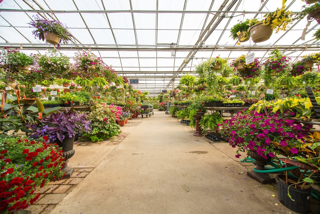 The Mill Greenhouses & Garden Centre | 2718 Highway 3 Port Colborne East, ON L3K 5V3 Canada, Port Colborne, ON L3K 5V3, Canada | Phone: (905) 834-7466