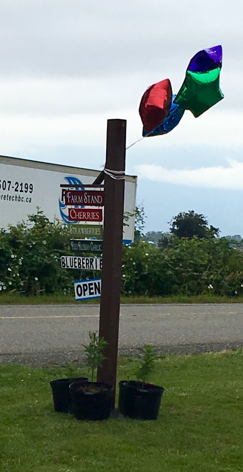 Farm Stand | 6698 Prest Rd, Chilliwack, BC V2R 4W4, Canada | Phone: (778) 829-7270