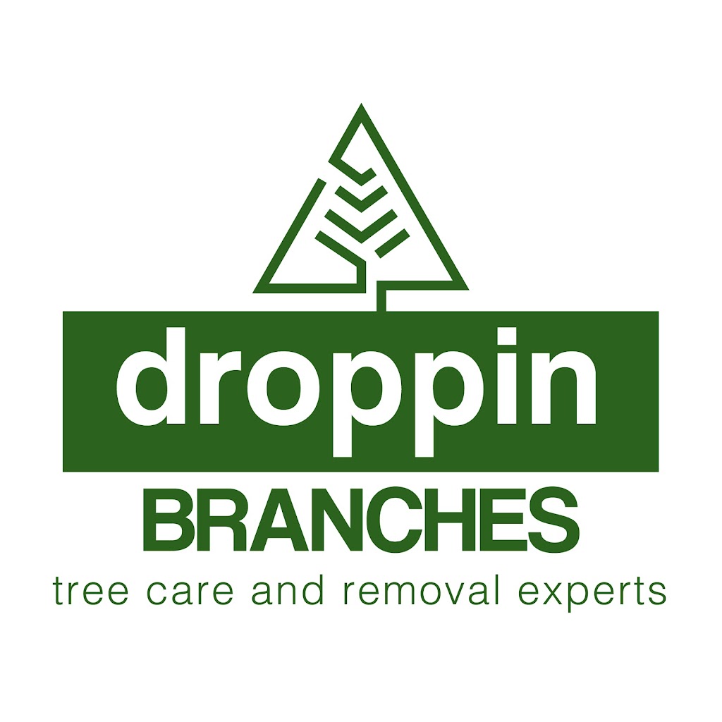 Droppin Branches | 391 Scenic Dr, Saint George, ON N0E 1N0, Canada | Phone: (519) 209-5486