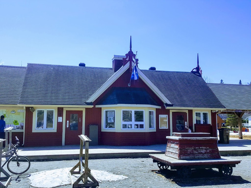 Petit Train Du Nord | Val-David, QC J0T 2N0, Canada | Phone: (450) 745-0185