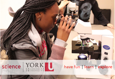 York University, Science Engagement Programs | 4700, Lumbers Building, 355 Keele St, North York, ON M3J 1P3, Canada | Phone: (647) 334-3549