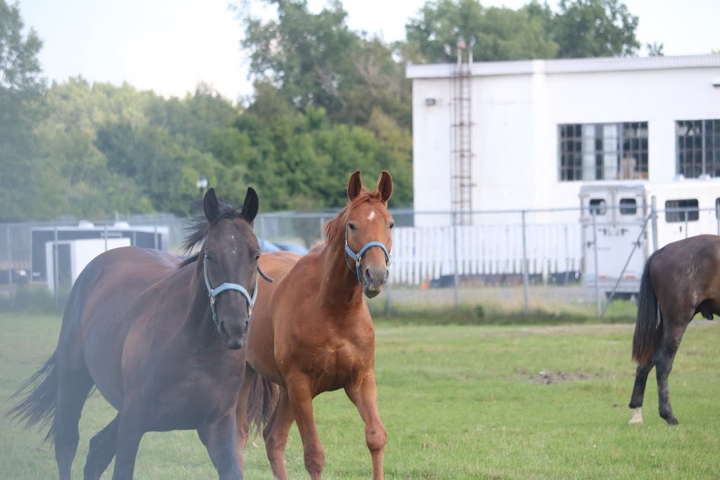 RCMP Stables | Sir George-Étienne Cartier Pkwy, Ottawa, ON K1K, Canada, Canada