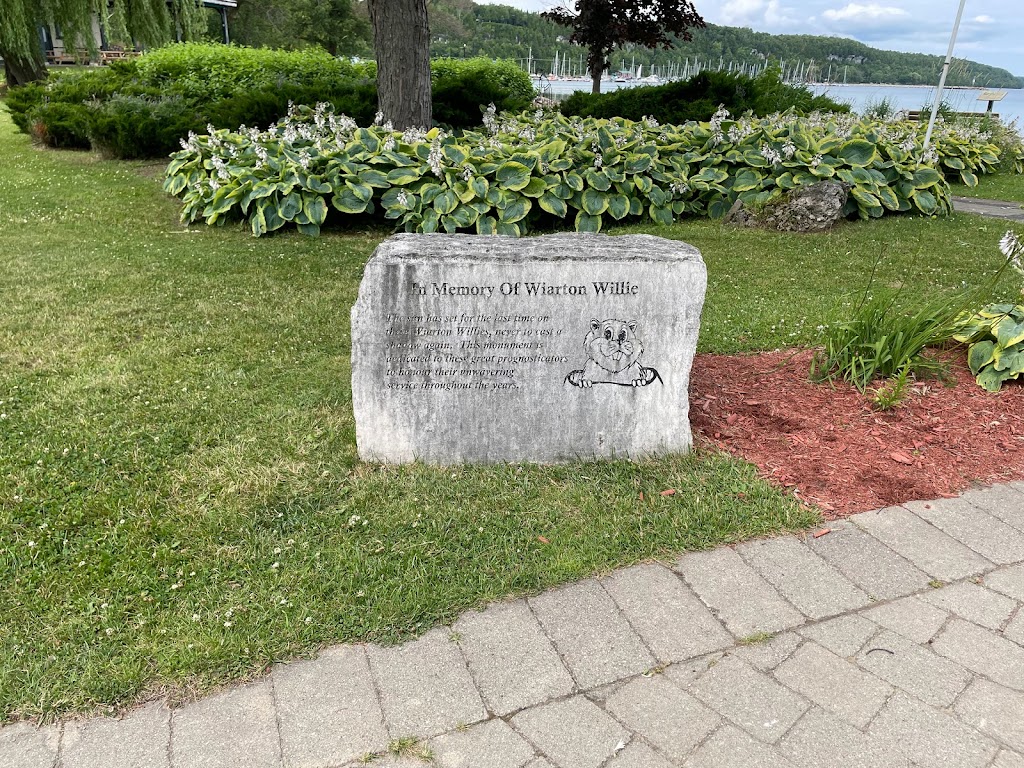 Wiarton Willie Statue | Unnamed Road, Wiarton, ON N0H 2T0, Canada | Phone: (519) 534-1400