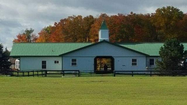 Walden Ridge Equestrian Ctr | 3074 Chilligo Rd, Cambridge, ON N3H 4R6, Canada | Phone: (519) 239-0942