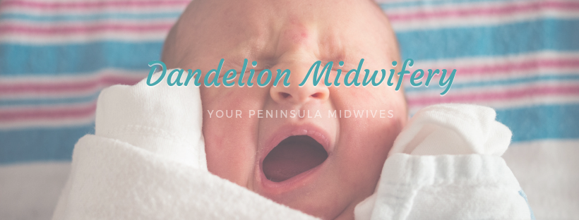 Dandelion Midwifery | 7159 W Saanich Rd C1, Brentwood Bay, BC V8M 1P7, Canada | Phone: (778) 351-4441