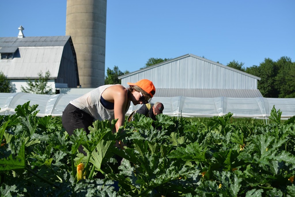 Ferme la Roquette | 42 Route du Canton, Brownsburg, QC J8G 1Y7, Canada | Phone: (450) 331-1342