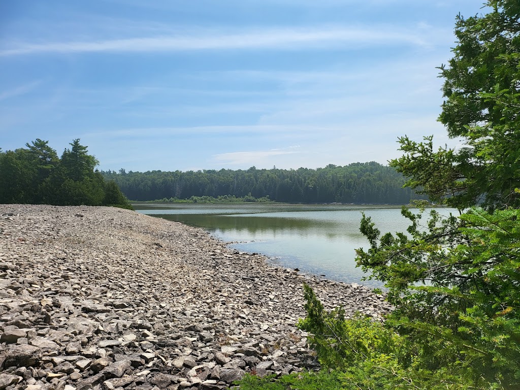 Johnston Harbour - Pine Tree Point Provincial Nature Reserve | Miller Lake, ON N0H 1Z0, Canada | Phone: (519) 389-9056