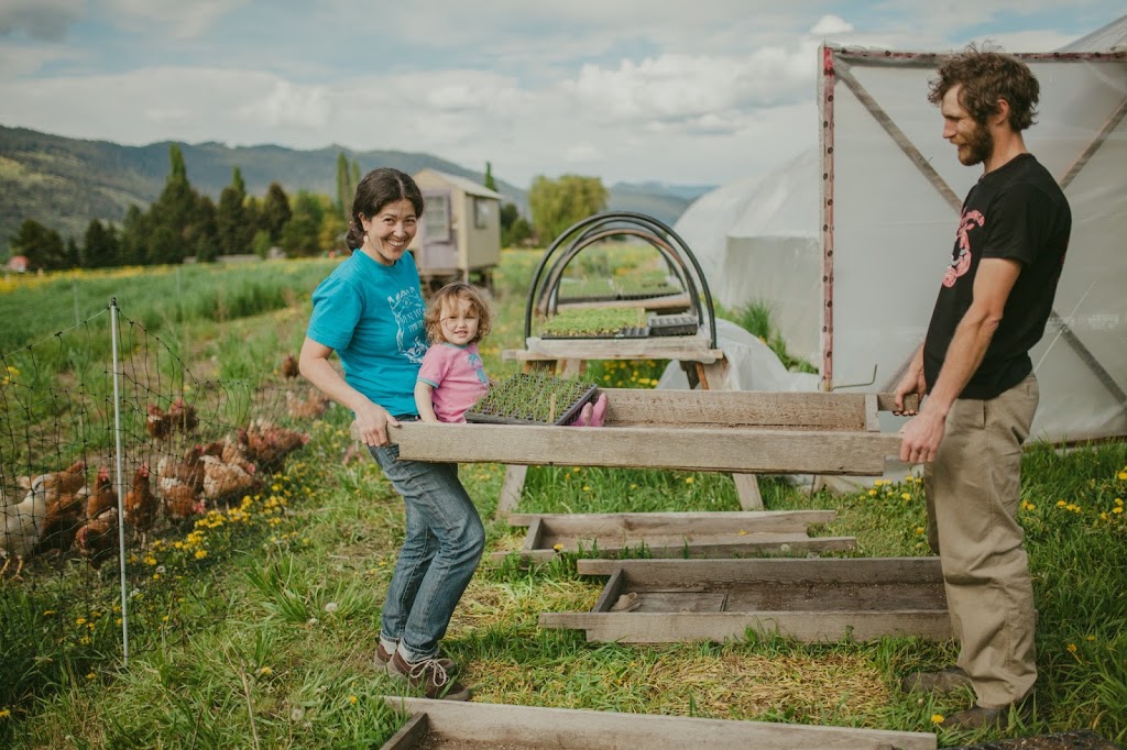 Golden Ears Farm | 5848 VLA Rd, Chase, BC V0E 1M1, Canada | Phone: (250) 679-8421