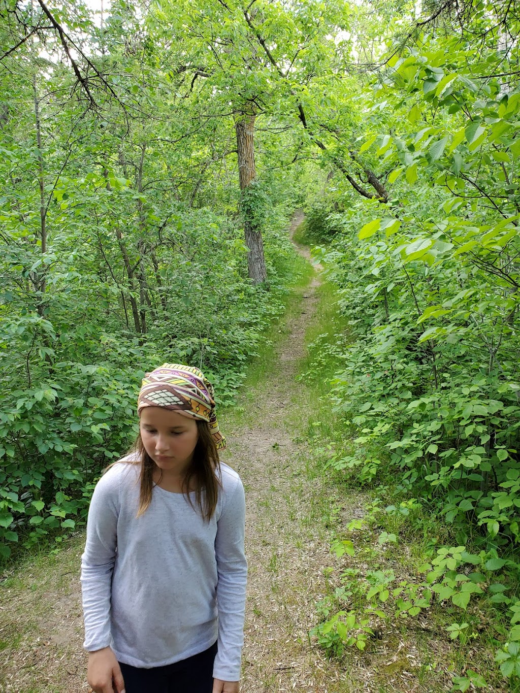 Steels Ferry Overlook and Spring Ridge Self-guiding Trail | South Cypress, MB R0K 0P0, Canada | Phone: (204) 827-8850